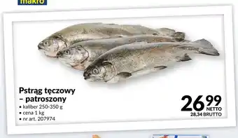 Makro Pstrąg tęczowy patroszony oferta