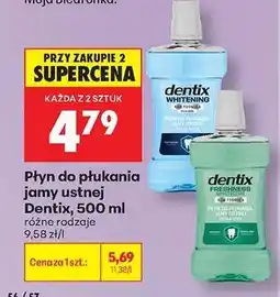 Biedronka Płyn do płukania jamy ustnej Dentix, 500 ml oferta