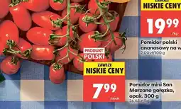 Biedronka Pomidor mini San Marzano, gałązka, opak. 300 g oferta