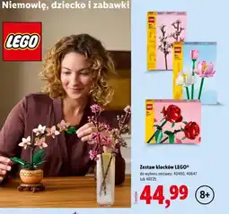Lidl Zestaw klocków LEGO 40725 oferta