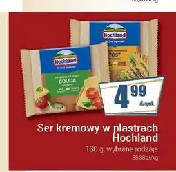 Premium Nasz Sklep Ser kremowy w plastrach Hochland Gouda oferta