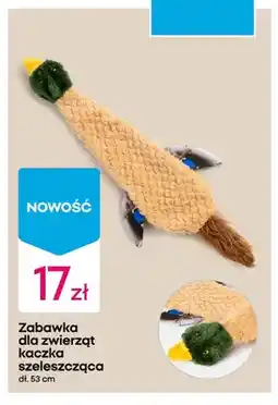 Pepco Zabawka dla zwierząt kaczka szeleszcząca oferta