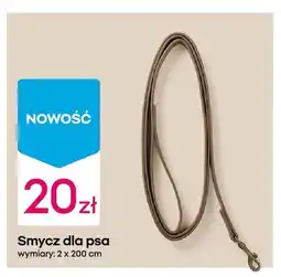 Pepco Smycz dla psa oferta