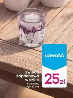Pepco Świeca zapachowa w szkle oferta
