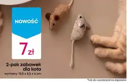 Pepco Zabawki dla kota 2-pak oferta