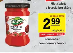 Gram Market Koncentrat pomidorowy Łowicz oferta