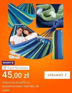 Allegro Hamak ogrodowy wielokolorowy Lewer oferta