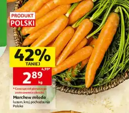 Auchan Marchew młoda luzem polska oferta