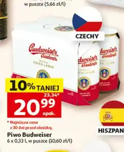 Auchan Piwo Budweiser 6-pak oferta