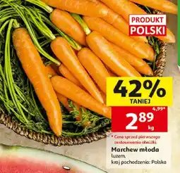 Auchan Marchew młoda polska oferta