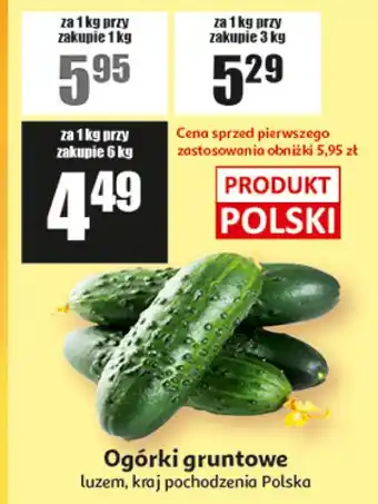 Ogórki gruntowe