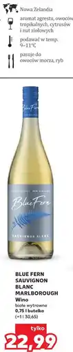 Kaufland Blue Fern Sauvignon Blanc Marlborough Wino oferta