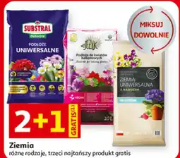 Auchan Ziemia różne rodzaje oferta