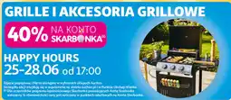 Auchan Grille i akcesoria grillowe oferta