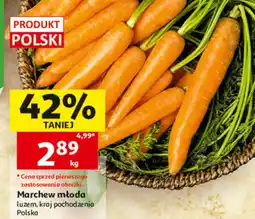 Auchan Marchew młoda oferta
