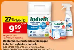 Auchan Odplamiacz, chusteczki wyłapujące kolor lub wybielacz Ludwik oferta