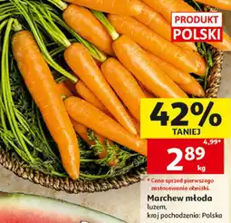 Auchan Marchew młoda luzem oferta