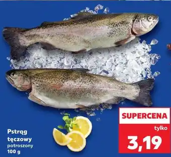 Pstrąg tęczowy patroszony