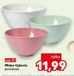 Kaufland Miska Cykoria plastikowa, poj oferta