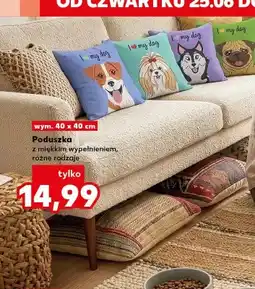 Kaufland Poduszka z miękkim wypełnieniem oferta