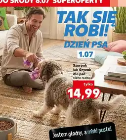 Kaufland Szarpak dla psa oferta