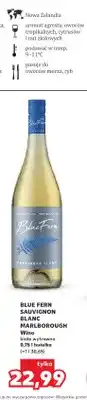 Kaufland Wino białe wytrawne Blue Fern Sauvignon Blanc oferta