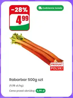 Dino Rabarbar polski oferta