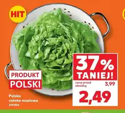 Kaufland Sałata masłowa polska oferta