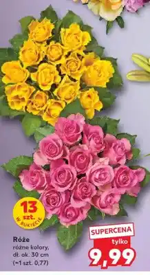 Kaufland Róże 13-pak oferta