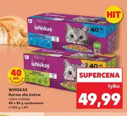 Kaufland Karma dla kotów Whiskas w galaretce oferta