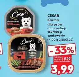 Kaufland Karma dla psów Cesar Terrina Klasyczna oferta