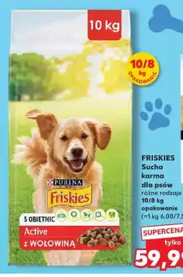 Kaufland Sucha karma dla psów Purina Friskies Active z wołowiną oferta