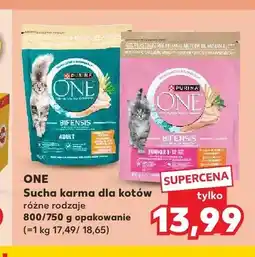 Kaufland Sucha karma dla kotów Purina One Bifensis Adult oferta