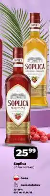 Netto SOPLICA oferta