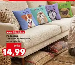 Kaufland Poduszka oferta