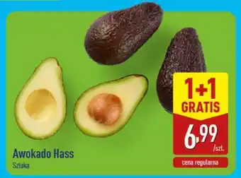 ALDI Awokado HASS oferta