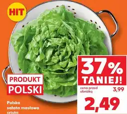 Kaufland Polska sałata masłowa oferta