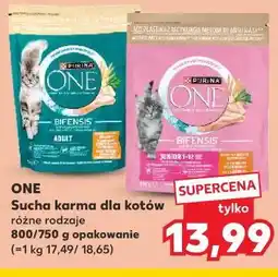 Kaufland Purina One Sucha karma dla kotów oferta