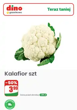 Dino Kalafior szt oferta