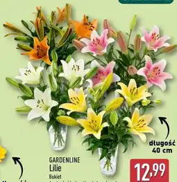 ALDI Gardenline Lilie Bukiet oferta