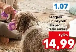 Kaufland Szarpak lub Gryzak dla psa oferta
