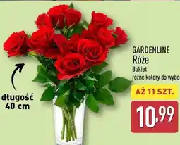 ALDI Gardenline Róże Bukiet oferta