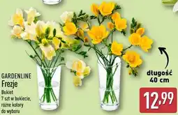 ALDI Gardenline Frezje Bukiet oferta