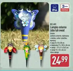 ALDI Belavi Lampka solarna żaba lub owad oferta