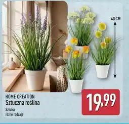 ALDI HOME CREATION Sztuczna roślina oferta