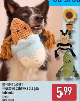 ALDI ROMEO & CACHET Pluszowa zabawka dla psa lub kota oferta