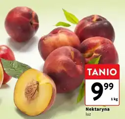 Intermarche Nektaryna luz oferta