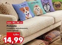 Kaufland Poduszka MU! oferta