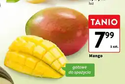 Intermarche Mango gotowe do spożycia oferta