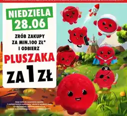 Intermarche Maskotka pluszowa oferta